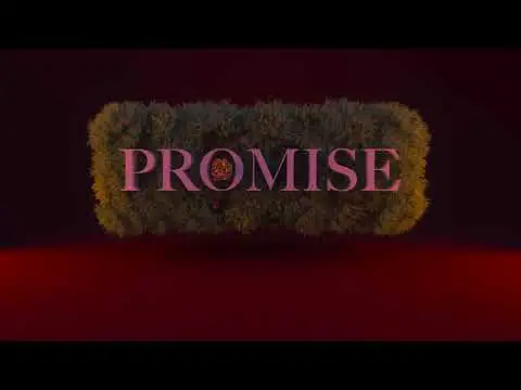 lyrics to promise by Luh Kel