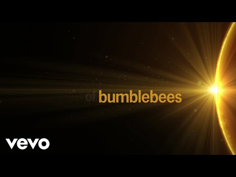 Bumblebee Lyrics